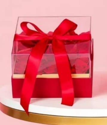 A17-29 صندوق مربع غطا شفاف